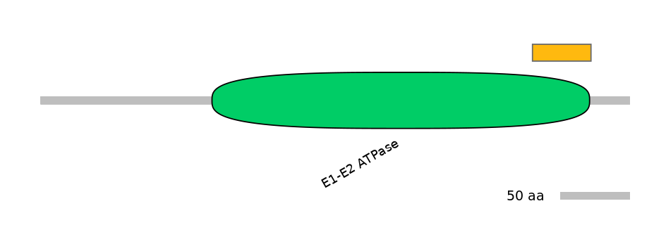 GgaEX6006306-EXC