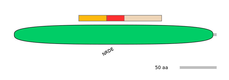 GgaEX6013393-INC