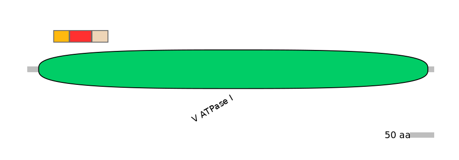 GgaEX6013589-INC