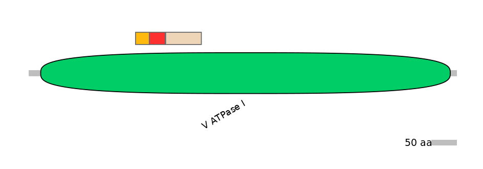GgaEX6013591-INC
