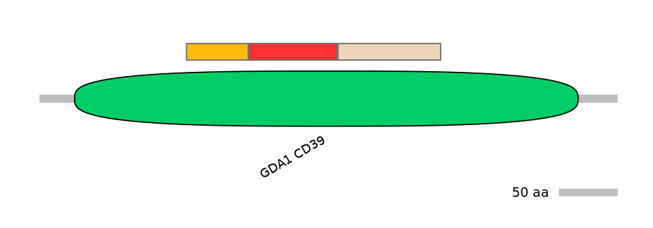 GgaEX6014651-INC