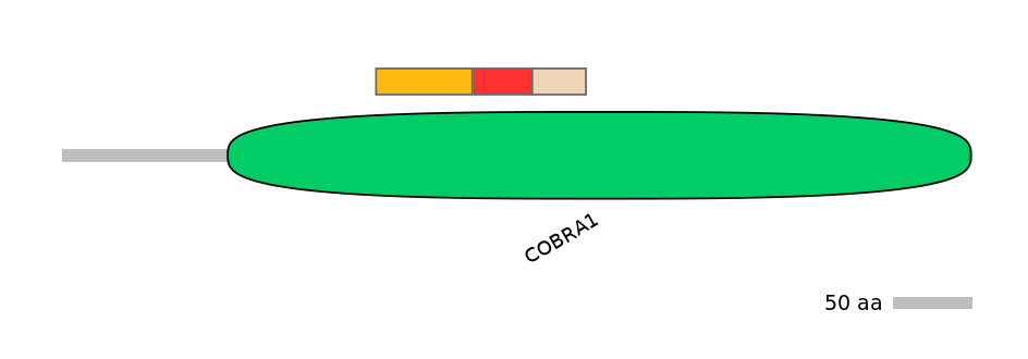 GgaEX6014843-INC