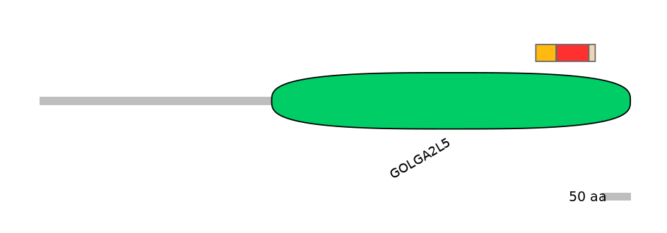 GgaEX6015039-INC
