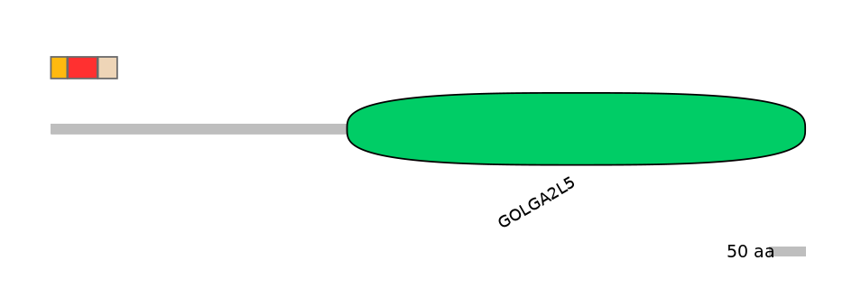 GgaEX6015048-INC