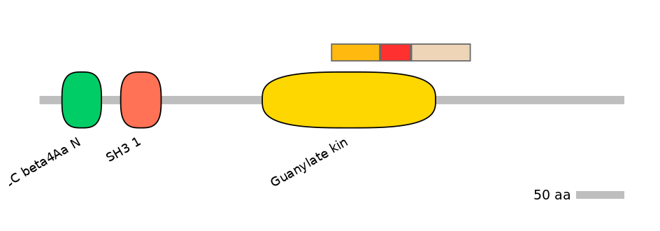GgaEX6018732-INC