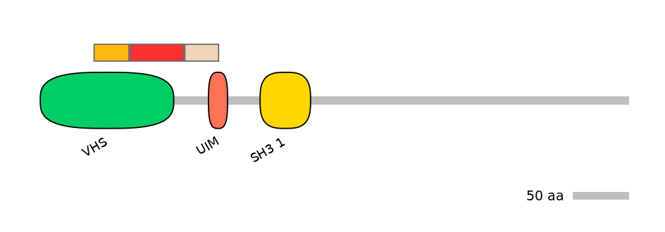 GgaEX6018773-INC