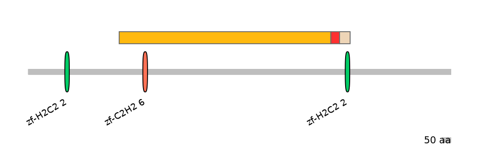 GgaEX6024886-INC