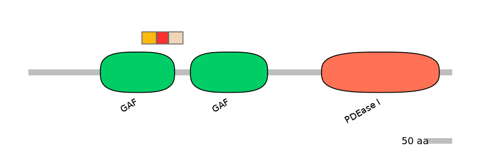 GgaEX6035048-INC