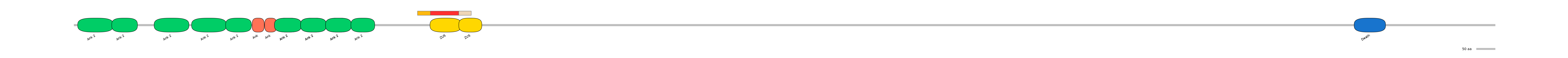 GgaEX6035119-INC