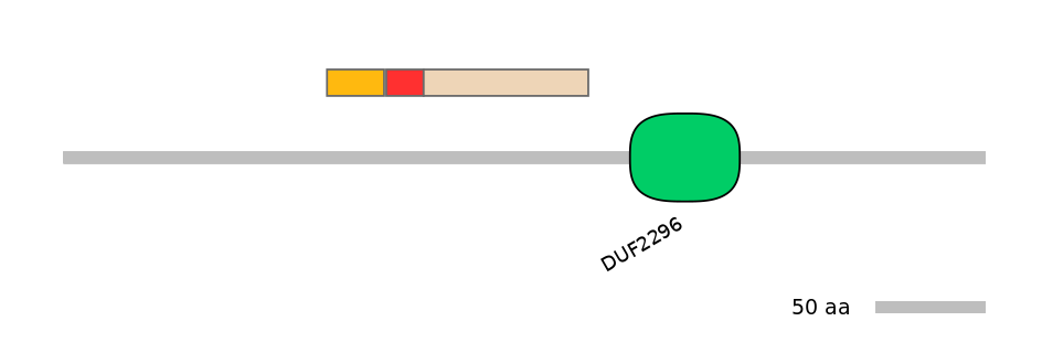 GgaEX6042252-INC