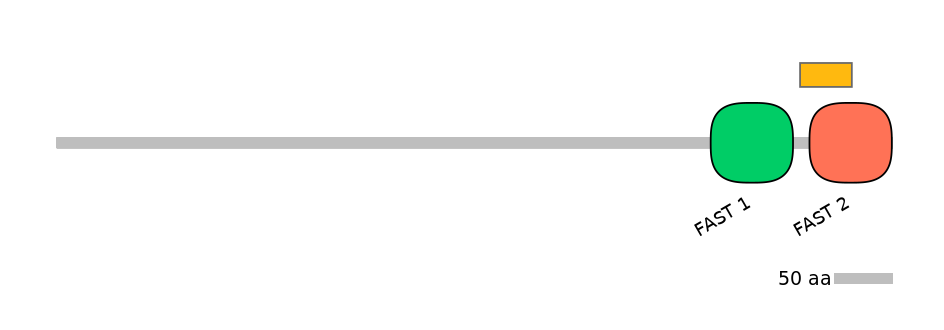 GgaEX6042405-EXC