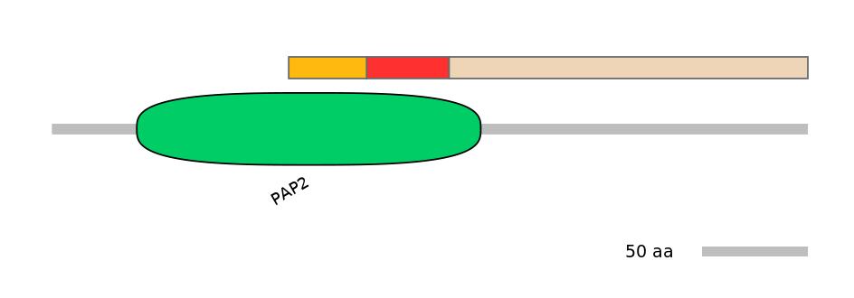 GgaEX6042471-INC