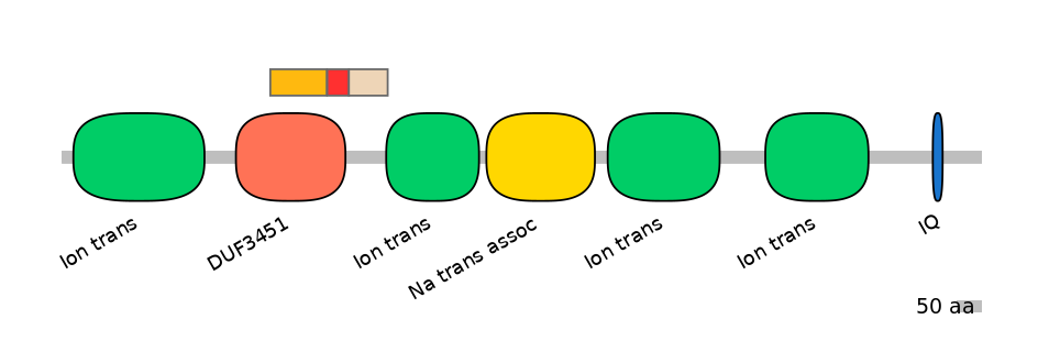 GgaEX6042521-INC