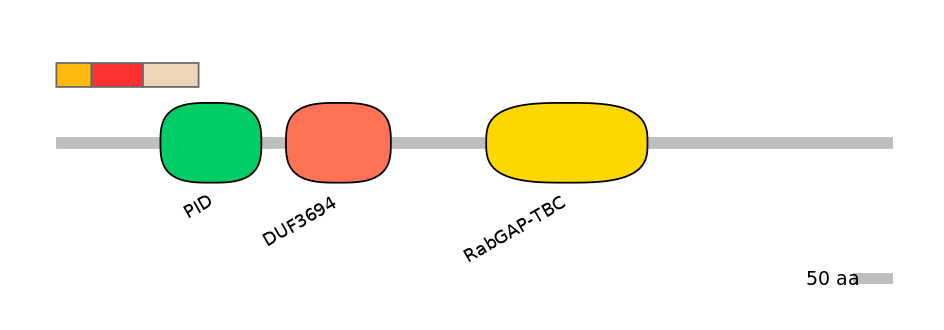 GgaEX6043901-INC