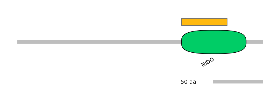 GgaEX6045724-EXC