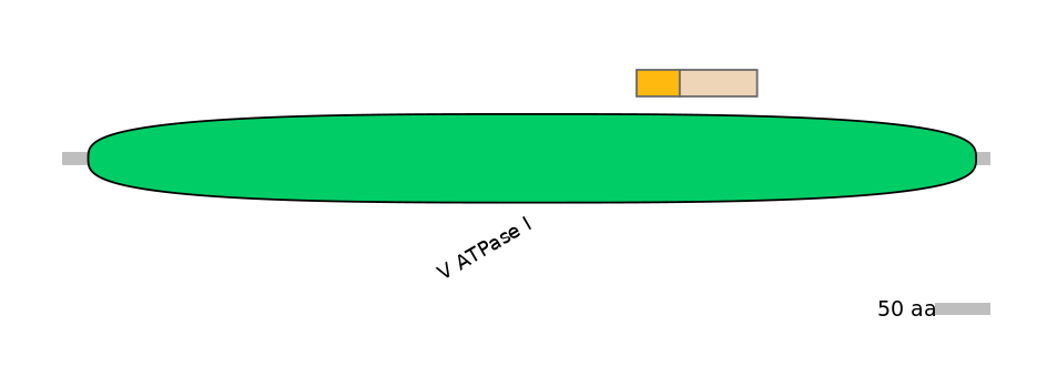 GgaINT0007390-EXC