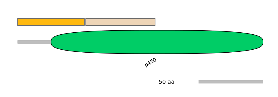 GgaINT0015021-EXC