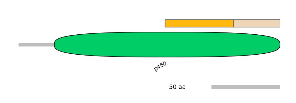 GgaINT0015023-EXC
