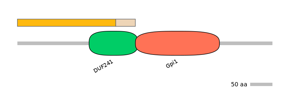 GgaINT0015099-EXC