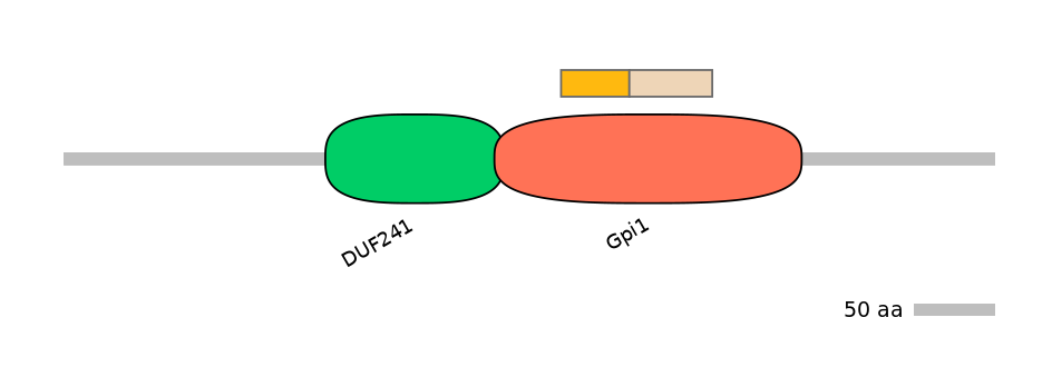 GgaINT0015102-EXC