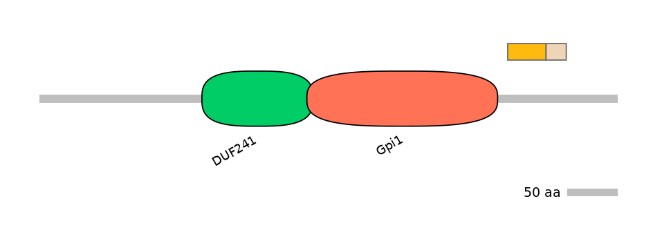 GgaINT0015106-EXC