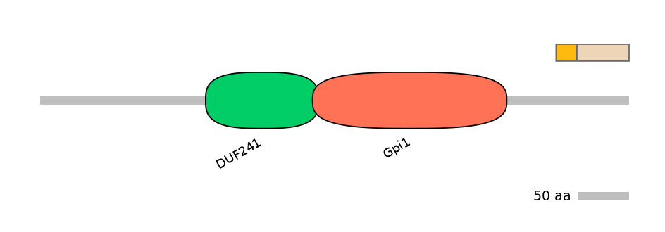 GgaINT0015107-EXC