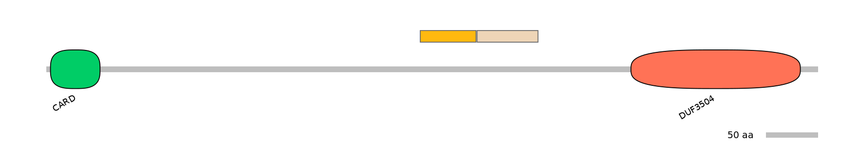 GgaINT0020307-EXC