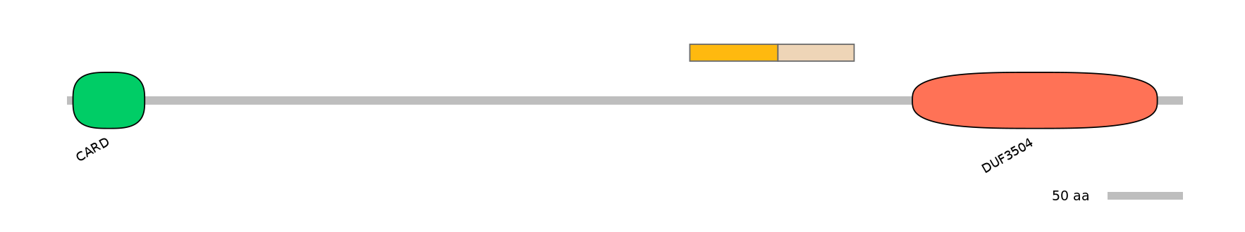 GgaINT0020308-EXC