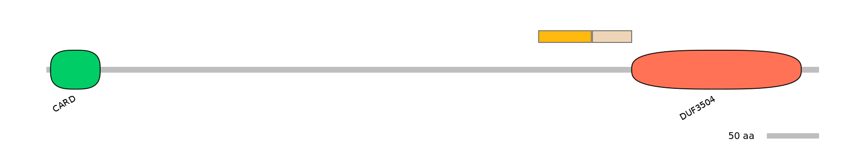 GgaINT0020309-EXC