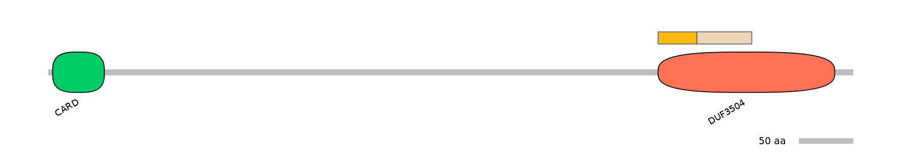 GgaINT0020311-EXC