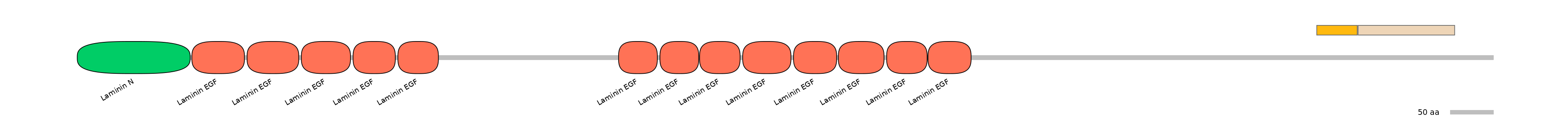 GgaINT0021401-EXC