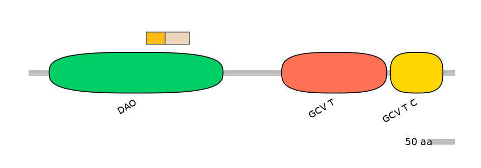GgaINT0025825-EXC