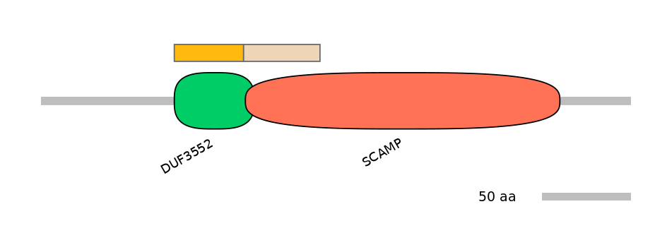 GgaINT0029706-EXC