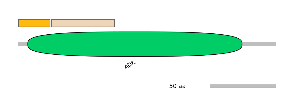 GgaINT0035246-EXC