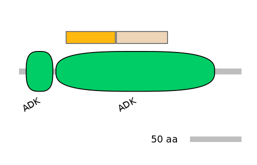 GgaINT0035247-EXC