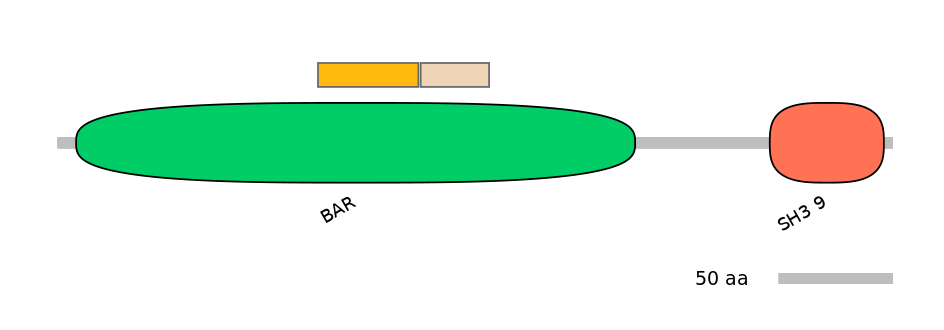 GgaINT0035639-EXC