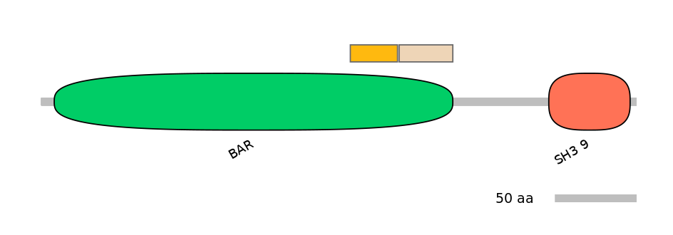 GgaINT0035641-EXC