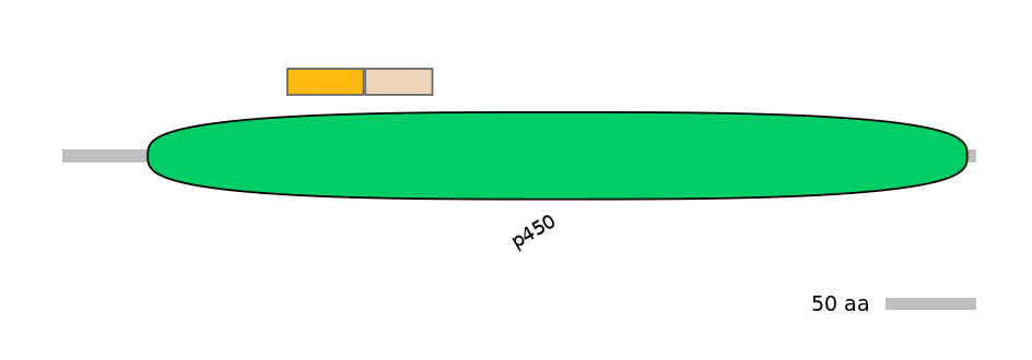 GgaINT0035772-EXC