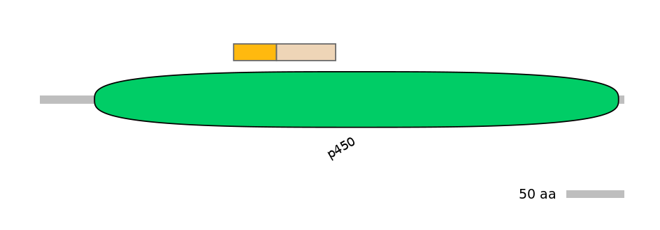GgaINT0035773-EXC