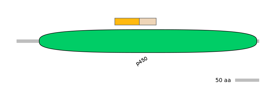 GgaINT0035774-EXC
