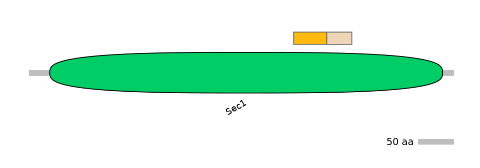 GgaINT0036890-EXC
