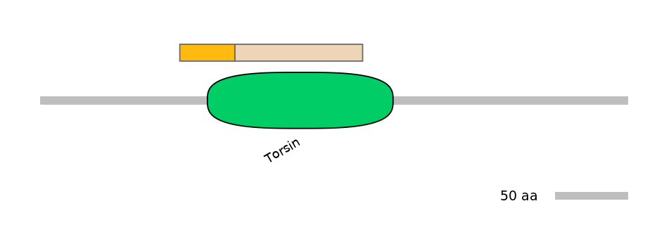 GgaINT0037392-EXC