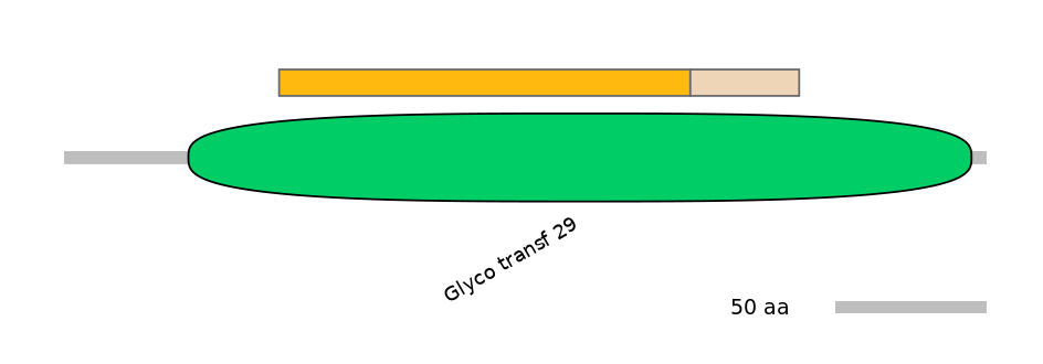 GgaINT0037888-EXC