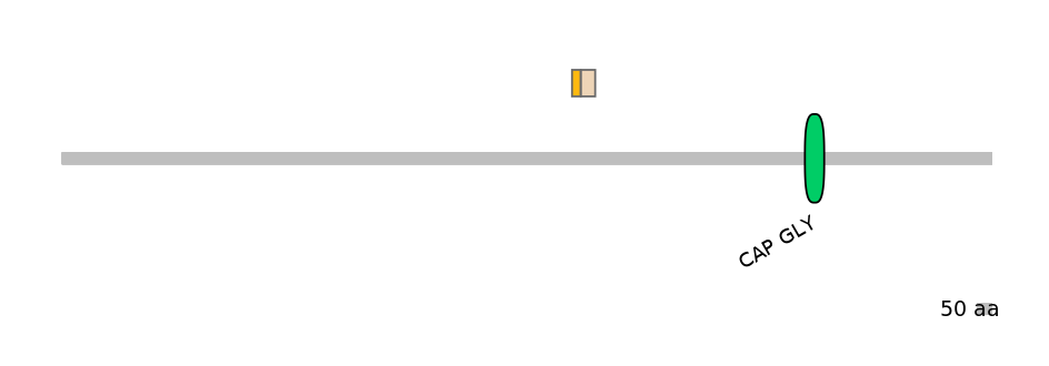 GgaINT0038295-EXC