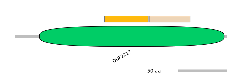 GgaINT0039123-EXC