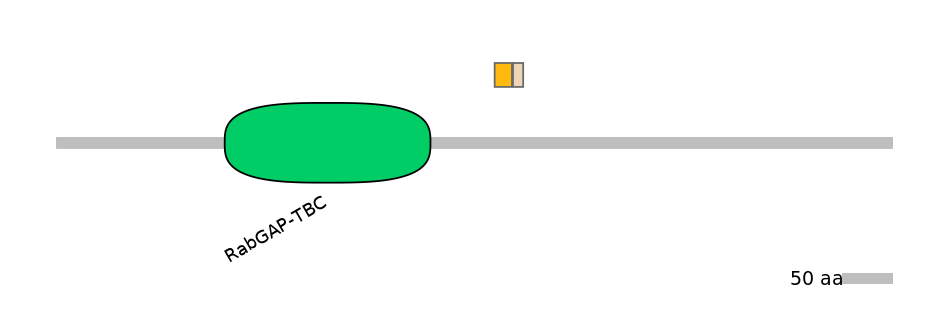 GgaINT0039471-EXC