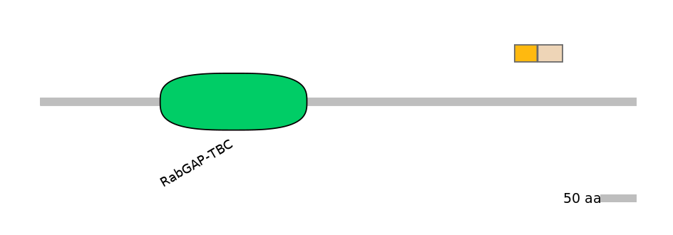GgaINT0039477-EXC