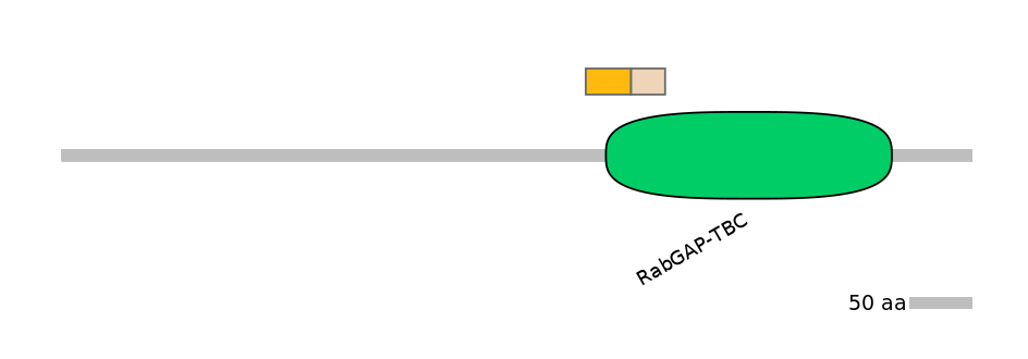 GgaINT0040077-EXC