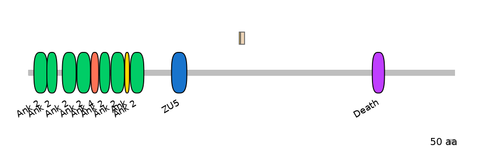 GgaINT0041372-EXC