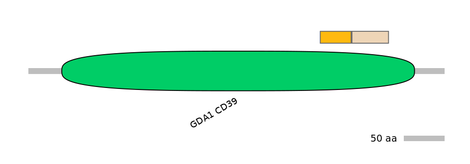 GgaINT0043438-EXC